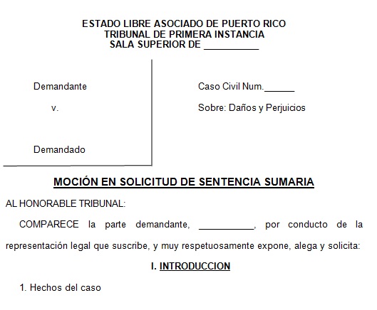 Sentencia Sumaria | Tusdocumentospr.com - Modelos de Documentos Legales