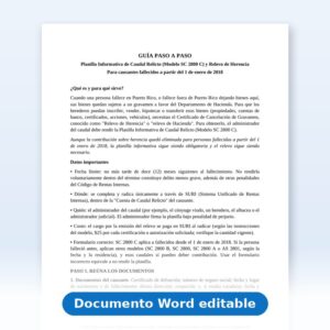 Instrucciones - Planilla de Caudal Relicto y Relevo de Herencia